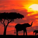 I segreti del Kenya – Dove nascono i campioni