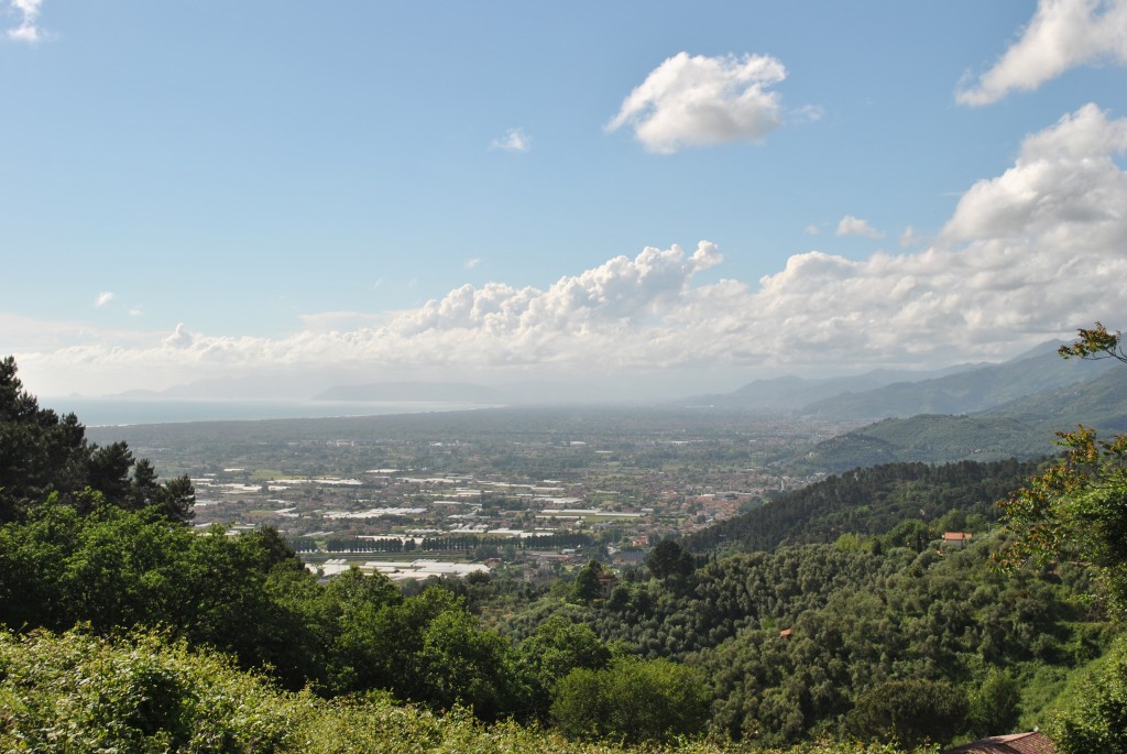 Stage di atletica per tutti