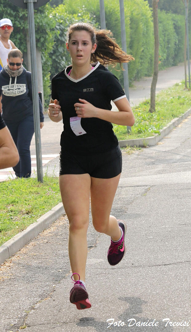 Grande Salcus a Voghiera