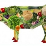 Proteine per vegani e vegetariani