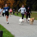 5 consigli per correre con il cane