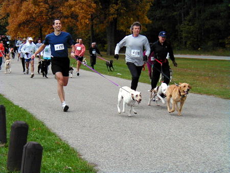 5 consigli per correre con il cane