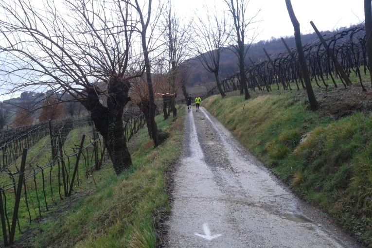 Salcus Fiasp a Brendola e Tribano