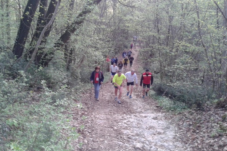 SALCUS a Bonavicina ed Altavilla