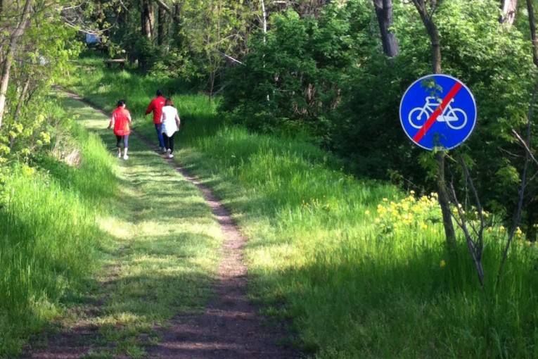 SALCUS alla Marcia ANGET