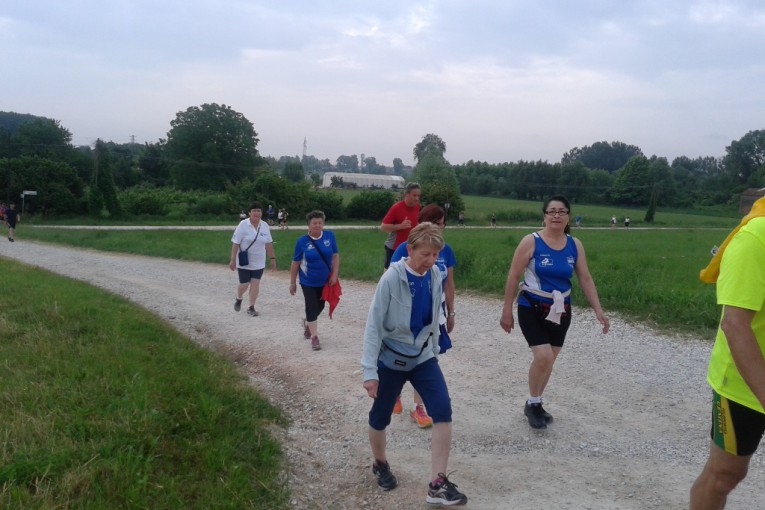 Salcus a San Vito di Legnago