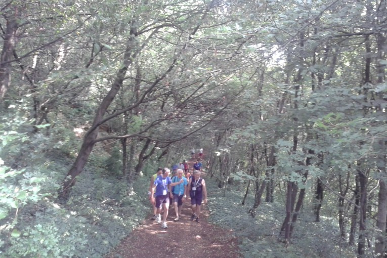 SALCUS a Gambugliano e Cerea