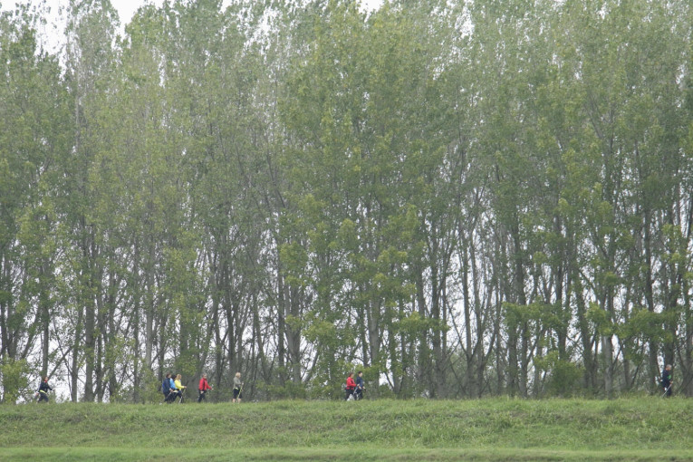 A Ruina “Un po di movimento in compagnia”