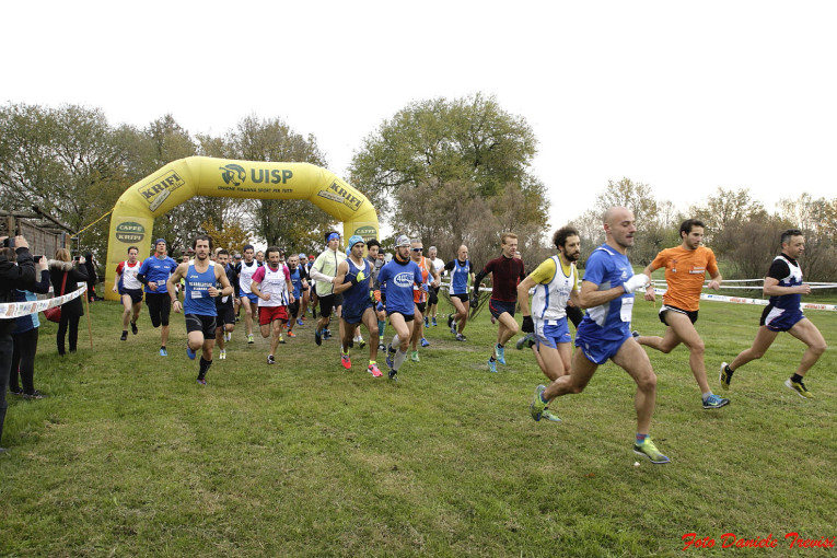 Salcus alle Vallette di Ostellato