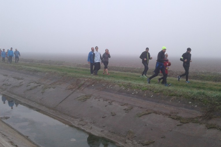 Salcus a Villafontana