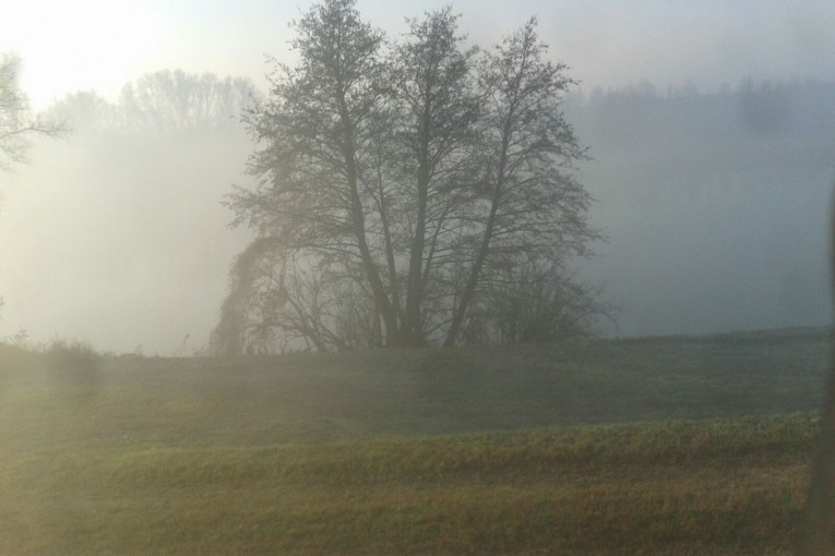 SALCUS a Canove di Legnago