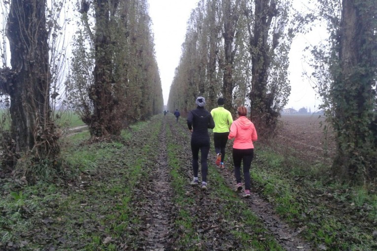SALCUS a Palesella di Cerea