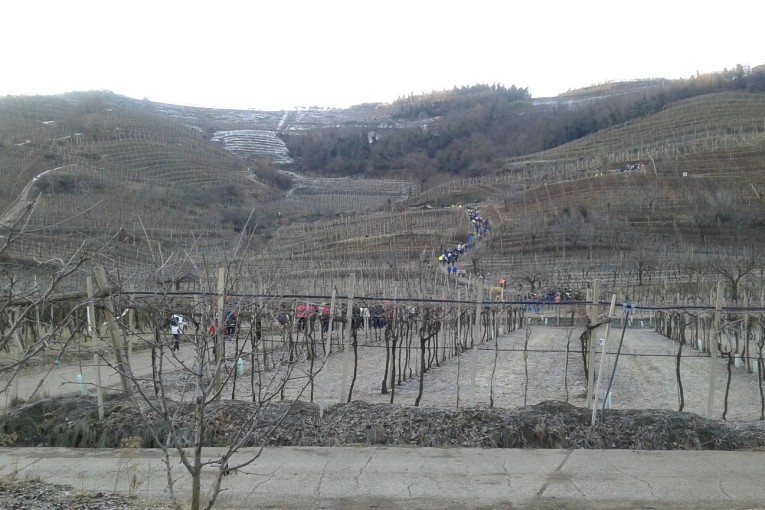 SALCUS a Monteforte e Bevilacqua