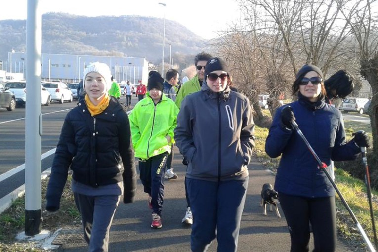 La Salcus a Brendola e Minerbe