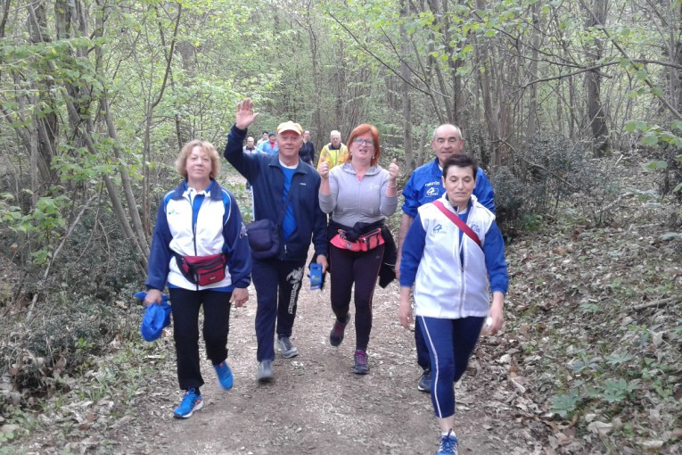 SALCUS ad Altavilla Vicentina