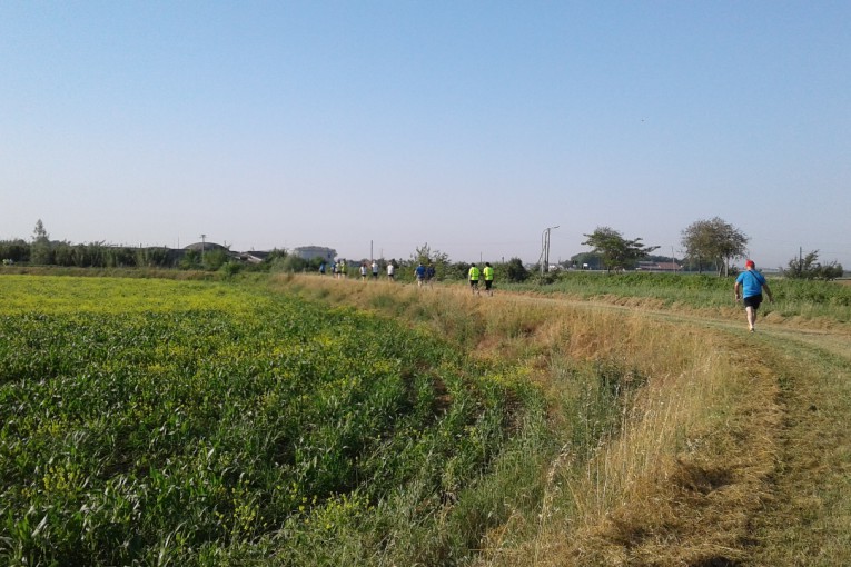 Salcus si sdoppia tra Rovenega e Legnago