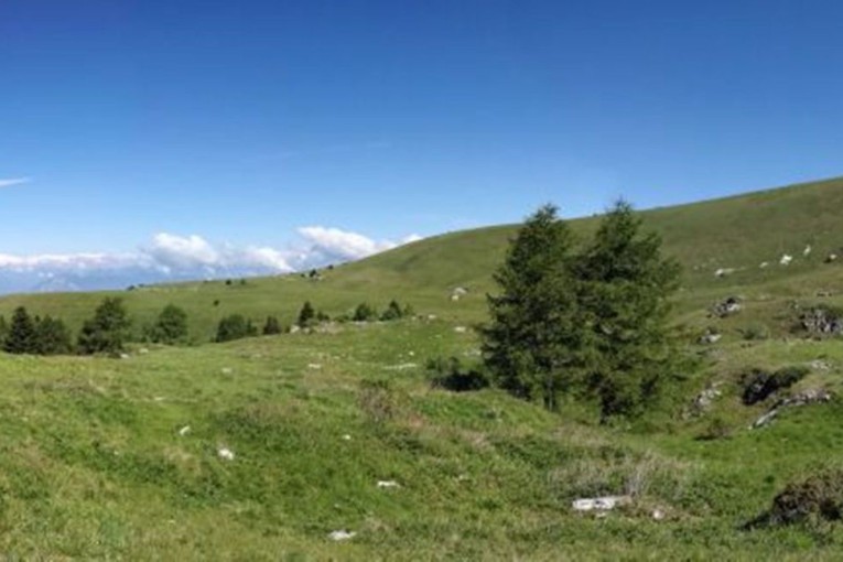 Salcus sul Pasubio e a Bevilacqua