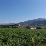 SALCUS a Spinimbecco e Montecchia