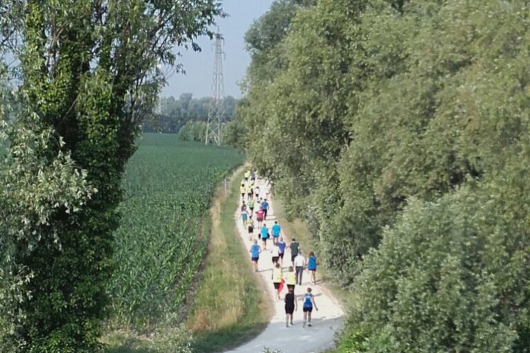 Salcus a San Vito di Legnago