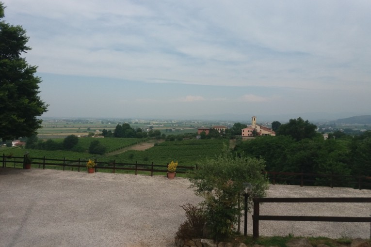 Salcus si fa in due tra Zovon e San Bonifacio