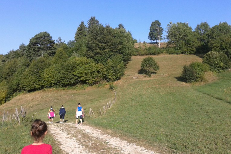 Sui sentieri di Bolca