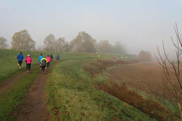 SALCUS sulle due sponde dell'Adige