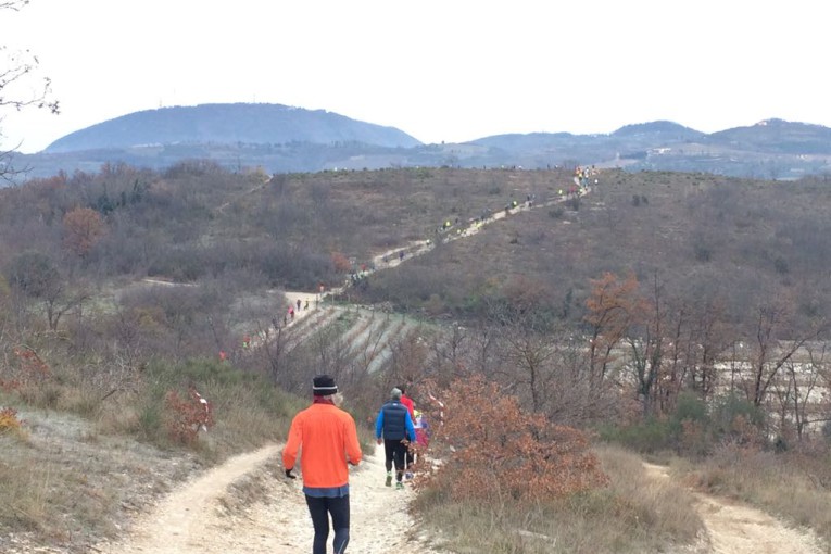 SALCUS sugli Euganei ed in riva all'Adige