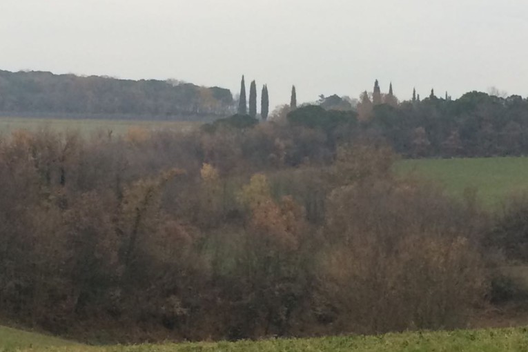 Nel giorno dell'Immacolata fra Orgiano e Lendinara