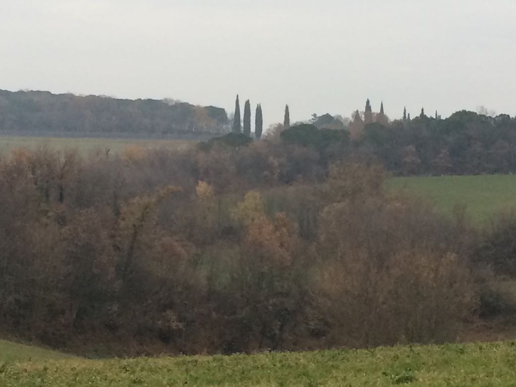 Nel giorno dell'Immacolata fra Orgiano e Lendinara