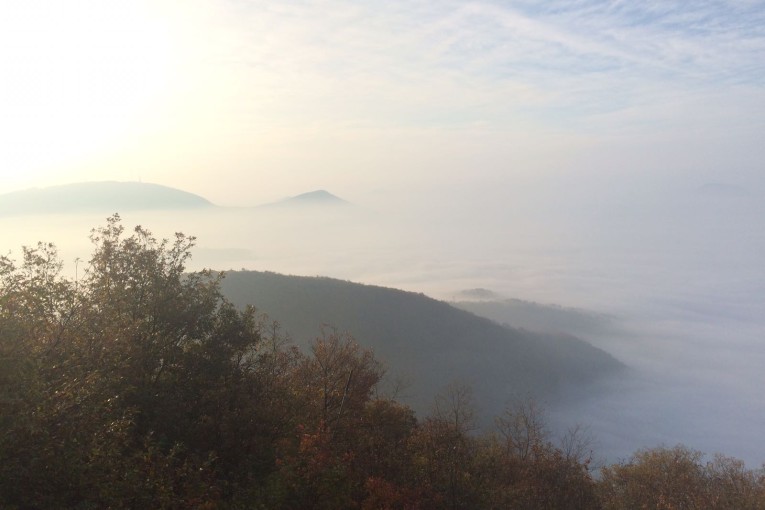 Fine settimana dell'Epifania SALCUS