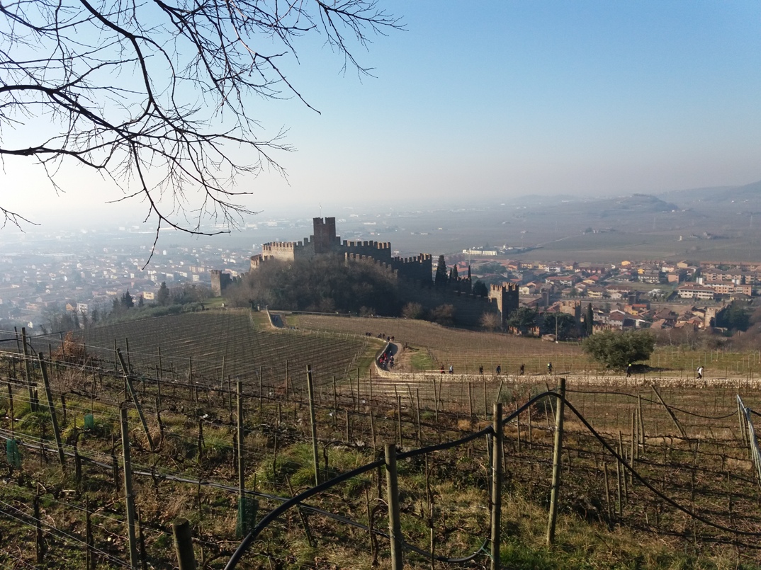 SALCUS dalla Montefortiana a San Salvaro