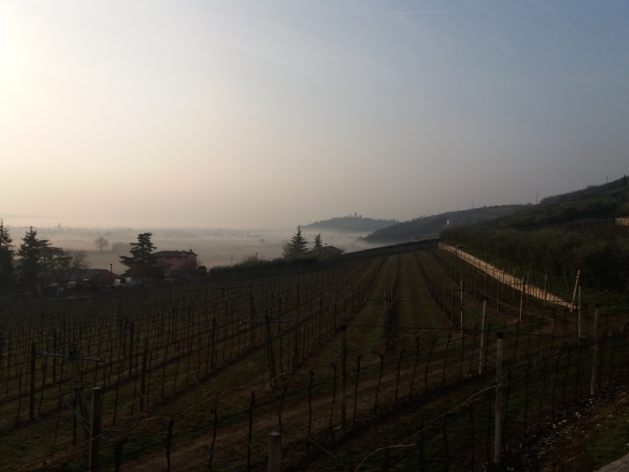 Ultimo week end SALCUS di gennaio