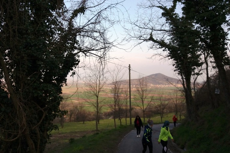 SALCUS a Rivadolmo e Bonavicina