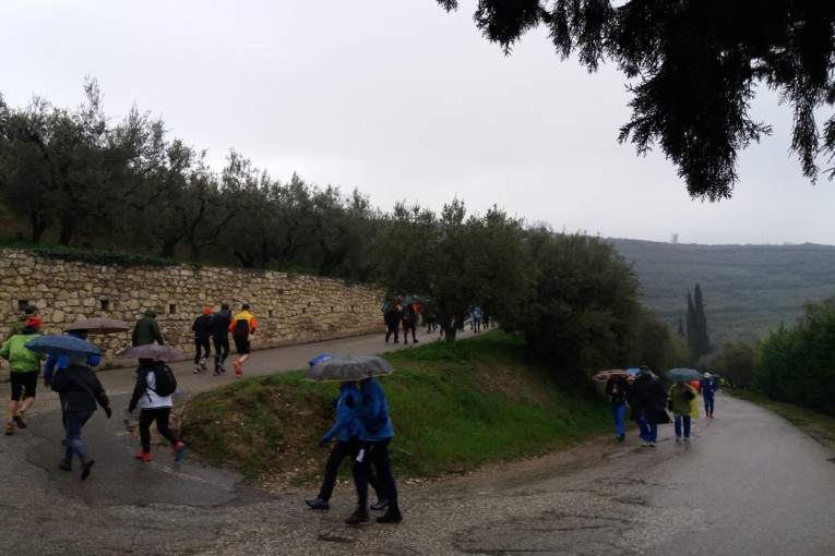 In una domenica bagnata ad Illasi e Monselice