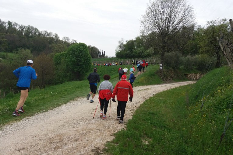 SALCUS sui Berici a Lonigo