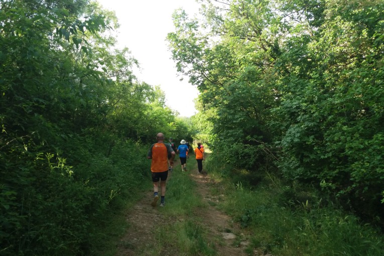 SALCUS da Zimella ad Arcole