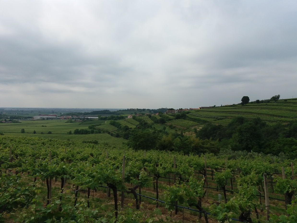 Una domenica SALCUS fra collina e pianura