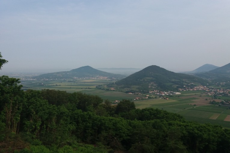 SALCUS ad Este ed alla Stralegnago