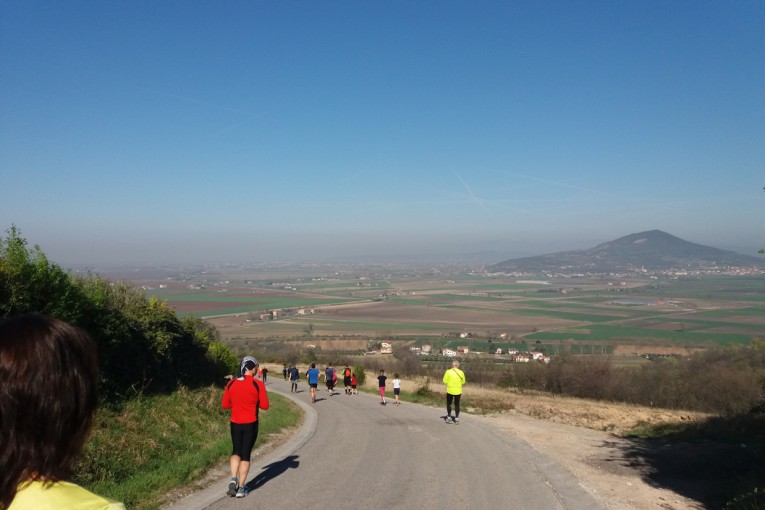 Salcus a Rivadolmo e San Salvaro