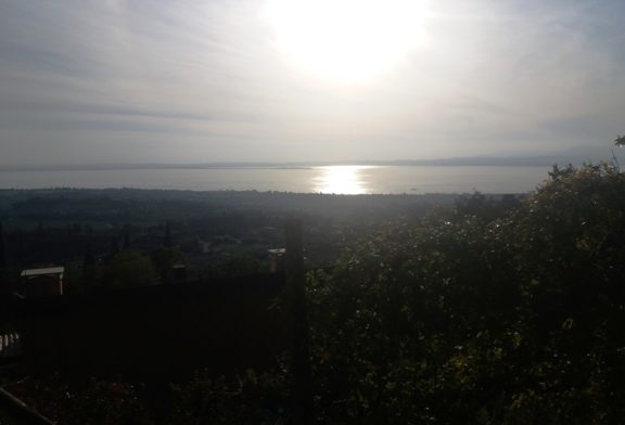 Salcus dai vigneti e olivi del Garda alle golene dell'Adige