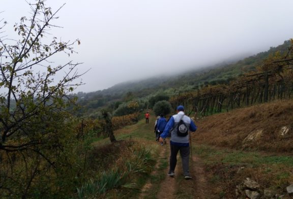 I Berici dai due volti